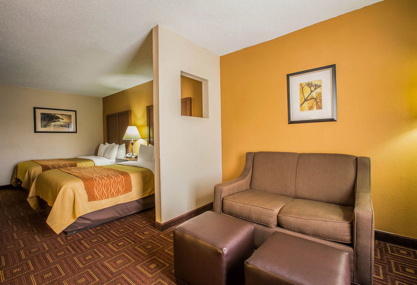 Hôtel Comfort Inn Asheville Arpt  | Fletcher | Caroline du Nord | Hôtels aux États-Unis 8