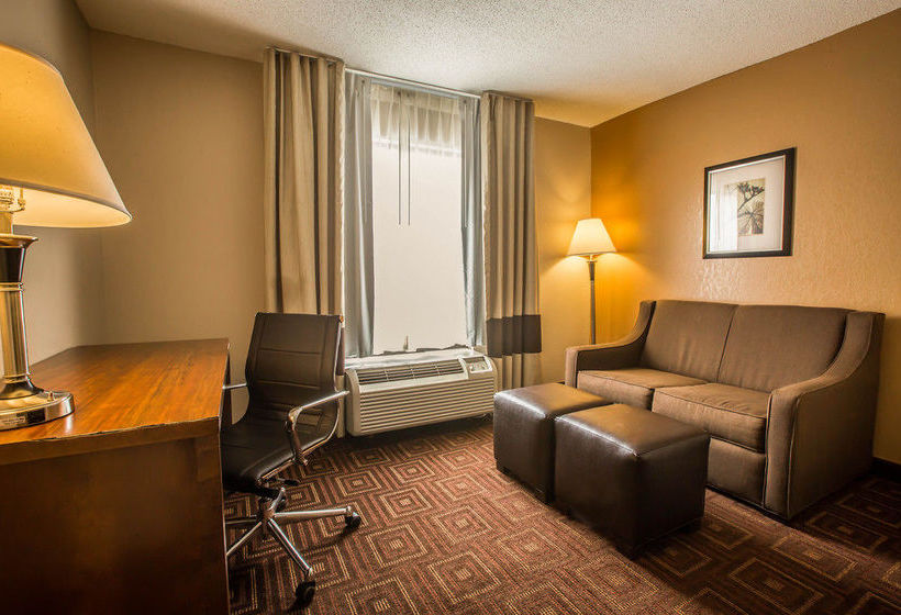 Hôtel Comfort Inn Asheville Arpt  | Fletcher | Caroline du Nord | Hôtels aux États-Unis 9