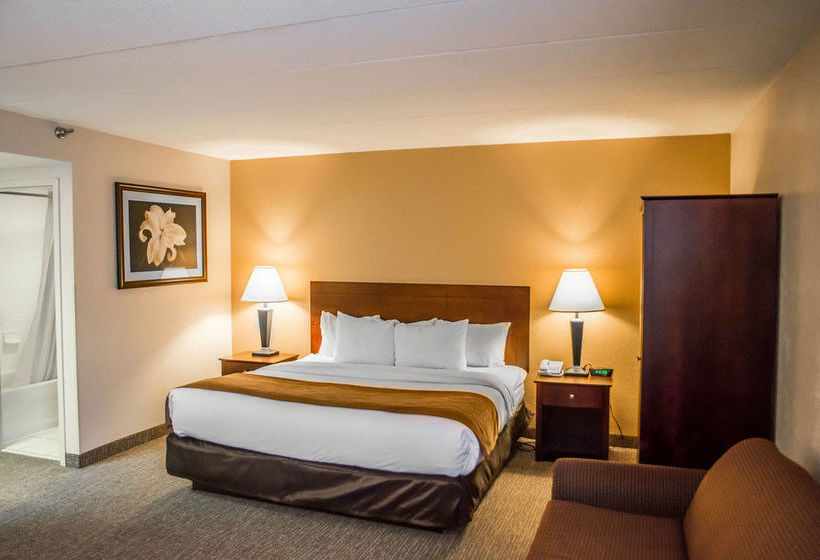 Hotel Comfort Inn Cincinnati Northeast  | Cincinnati | Ohio | United States 13