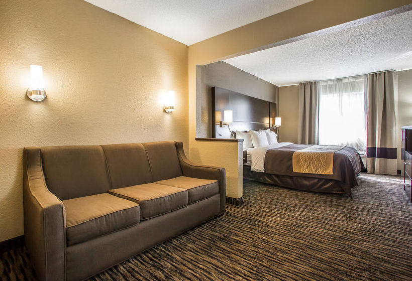 Hotel Comfort Inn Dayton  | Dayton | Ohio | United States 11