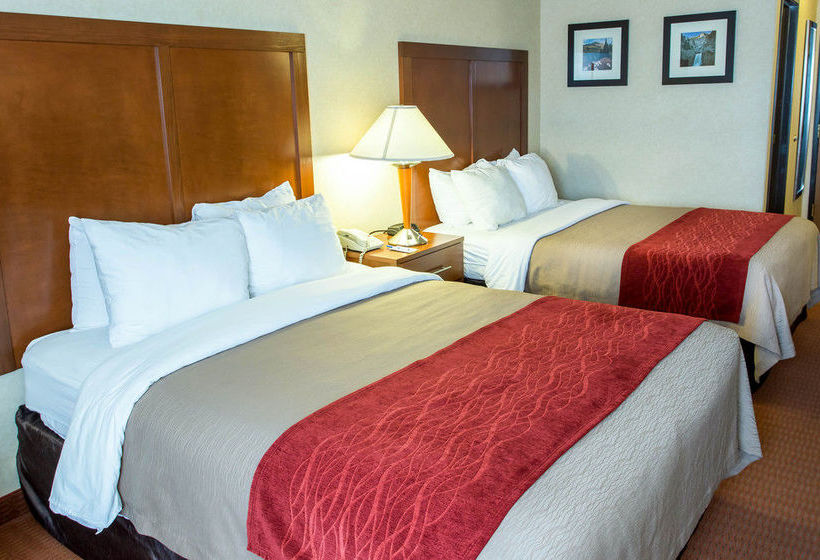 Hotel Comfort Inn Denver Southeast Area  | Aurora | Colorado | United States 18