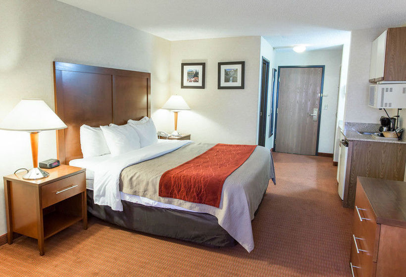 Hotel Comfort Inn Denver Southeast Area  | Aurora | Colorado | United States 9