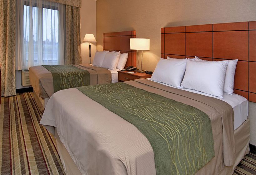 Hotel Comfort Inn Metro Airport Romulus Romulus Michigan