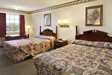 Hotel Super 8 Dallas South  | Dallas | Texas | Estados Unidos 8