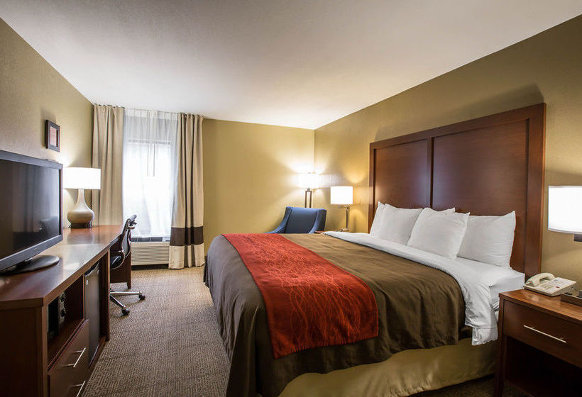 Hotel Comfort Inn West  | Asheville | North Carolina | United States 20