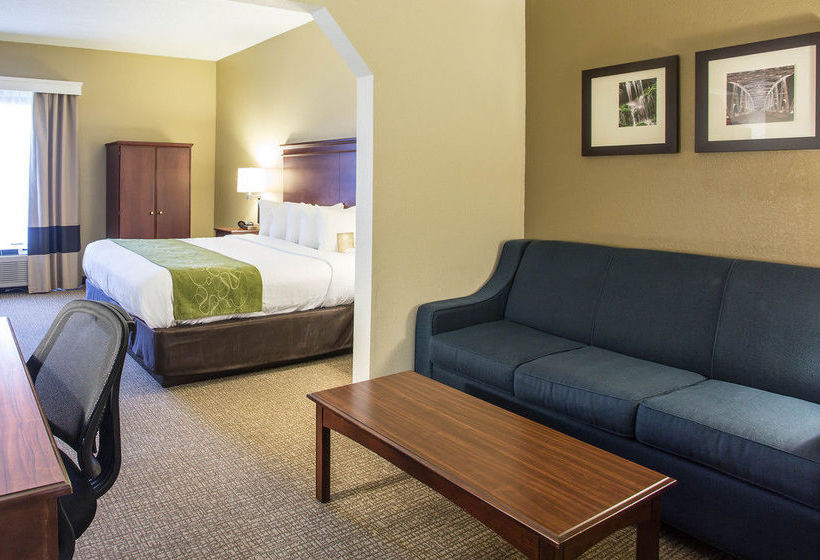 Hotel Comfort Suites  | Cookeville | Tennessee | United States 10