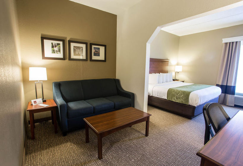 Hotel Comfort Suites  | Cookeville | Tennessee | United States 14