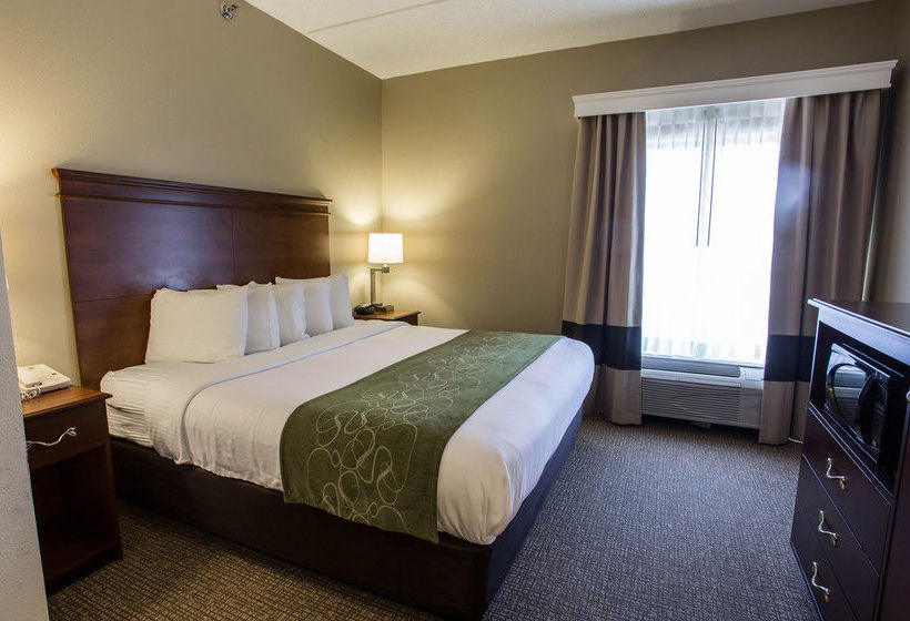 Hotel Comfort Suites  | Cookeville | Tennessee | United States 16