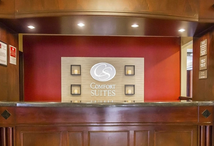 Hotel Comfort Suites  | Avenel | New Jersey | United States 20