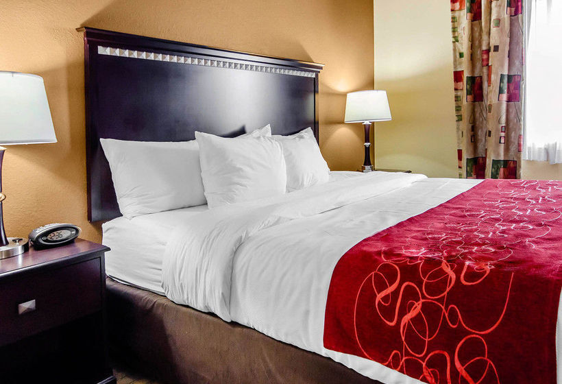 Hotel Comfort Suites Louisville  | Louisville | Kentucky | United States 16