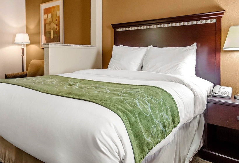 Hotel Comfort Suites Louisville  | Louisville | Kentucky | United States 19