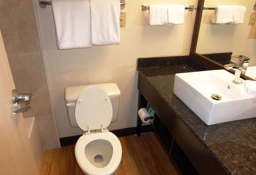 Hotel Comfort Suites Chattanooga