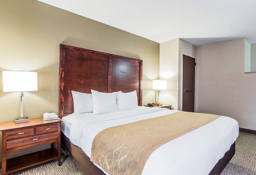 Hotel Comfort Suites  | Sumter | South Carolina | United States 19