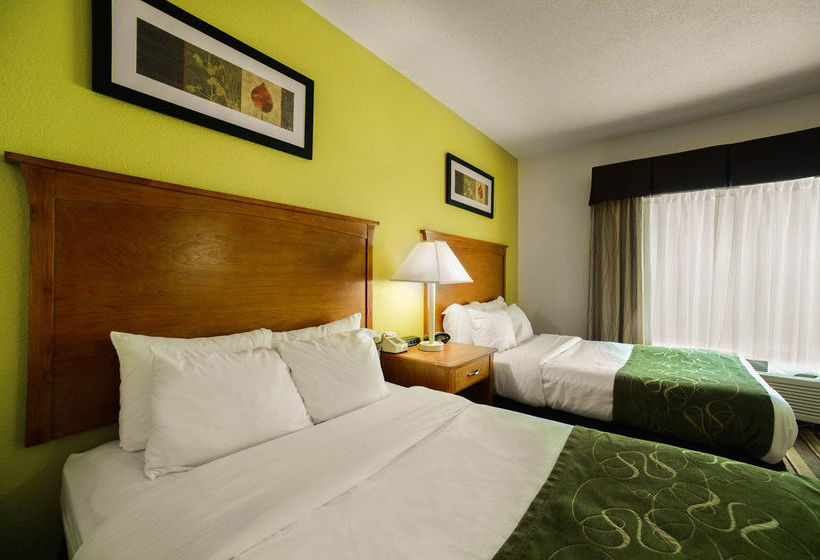Hotel Comfort Suites  | Marion | Illinois | United States 13