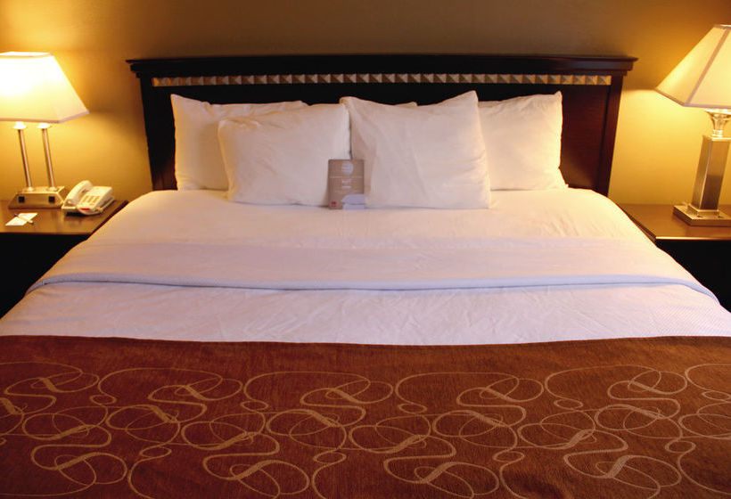 Hotel Comfort Suites  | Norwich | Connecticut | United States 10