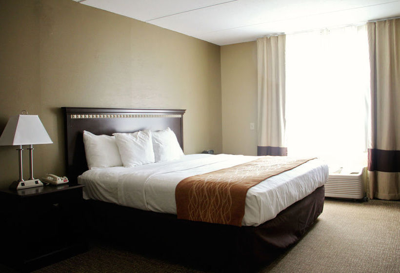 Hotel Comfort Suites  | Norwich | Connecticut | United States 12