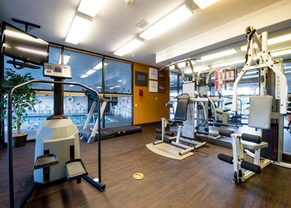 Hotel Comfort Suites Summit County  | Dillon | Colorado | United States 2