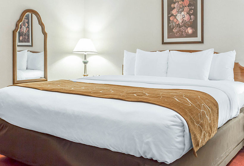 Hotel Comfort Suites  | Yakima | Washington | United States 19