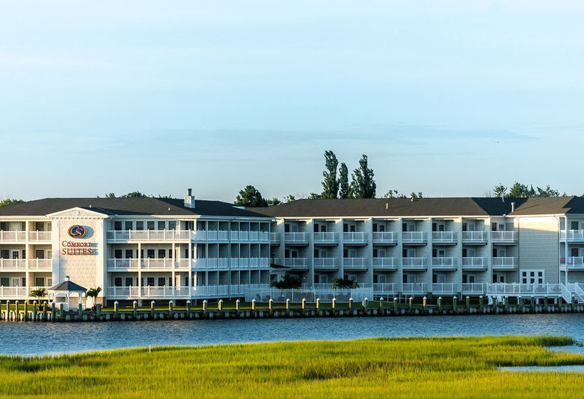 Hotel Comfort Suites Chincoteague  | Chincoteague Island | Virginia | Estados Unidos 6
