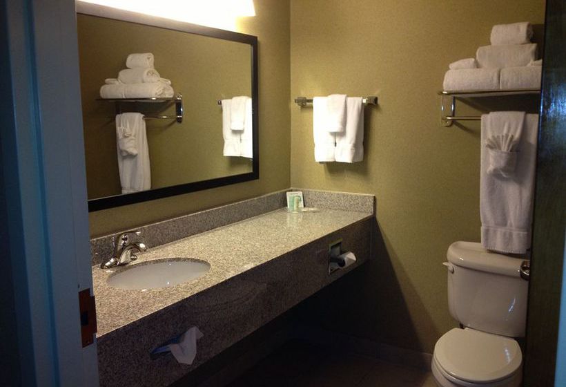 Hotel Comfort Suites Stafford Stafford