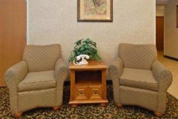 Hotel Comfort Suites at Tucson Mall  | Tucson | Arizona | United States 3