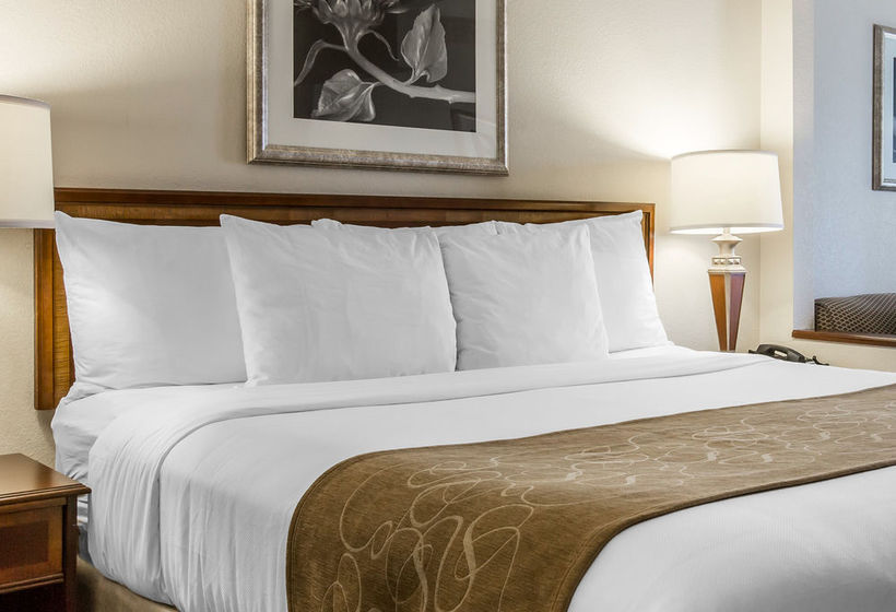 Hotel Comfort Suites Perimeter Center  | Atlanta | Georgia | United States 18