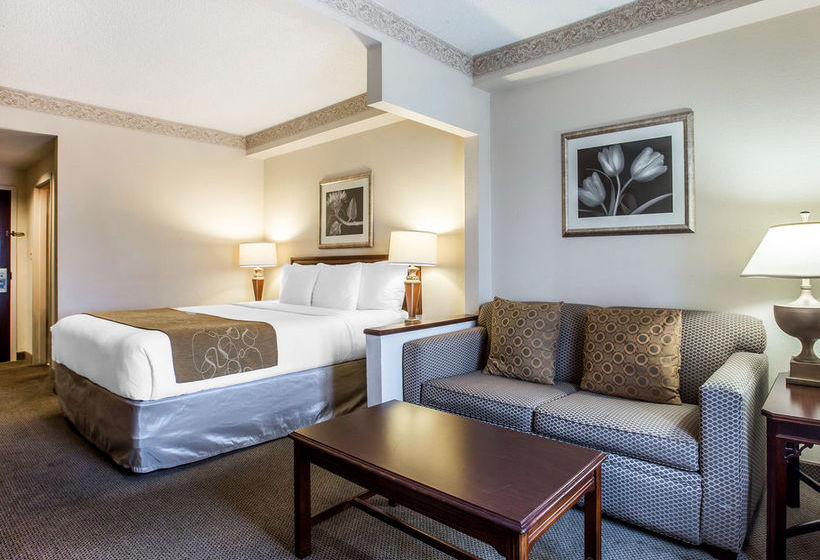 Hotel Comfort Suites Perimeter Center  | Atlanta | Georgia | United States 20