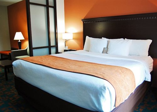 Hotel Comfort Suites Knoxville  | Knoxville | Tennessee | United States 20