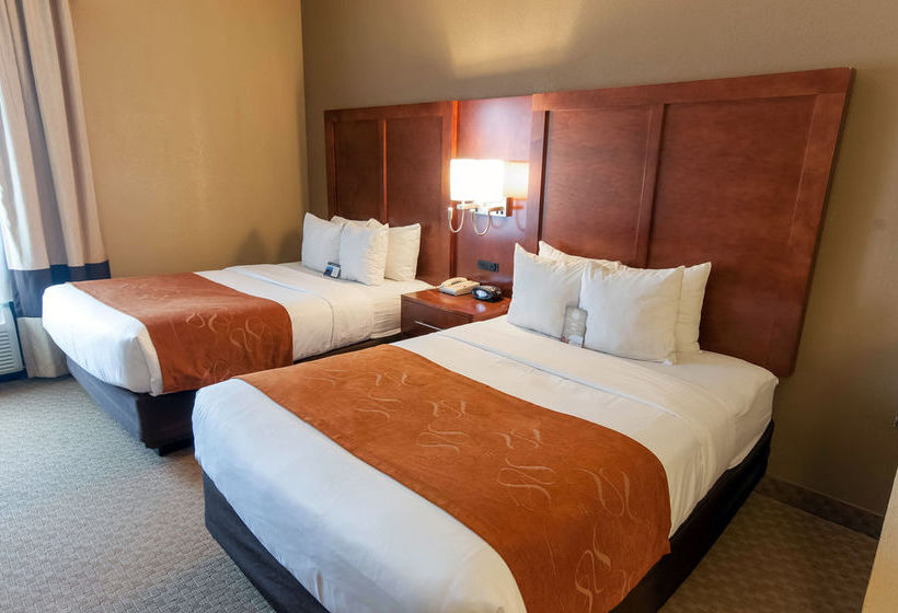 Hotel Comfort Suites Bethlehem  | Bethlehem | Pennsylvania | Estados Unidos 10