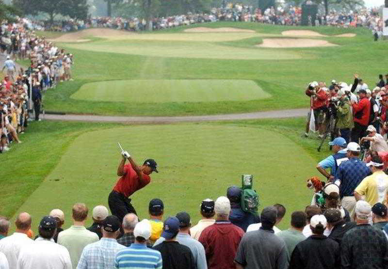 Hotel Courtyard by Marriott  | Akron | Ohio | United States 8