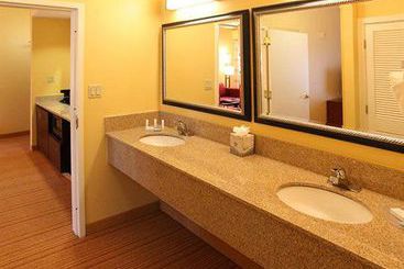 Hotel Courtyard By Marriott Columbia Northeast  | Columbia | South Carolina | United States 9