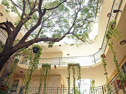 Hotel Dogtown Suites  | Cancún | Quintana Roo | México 16