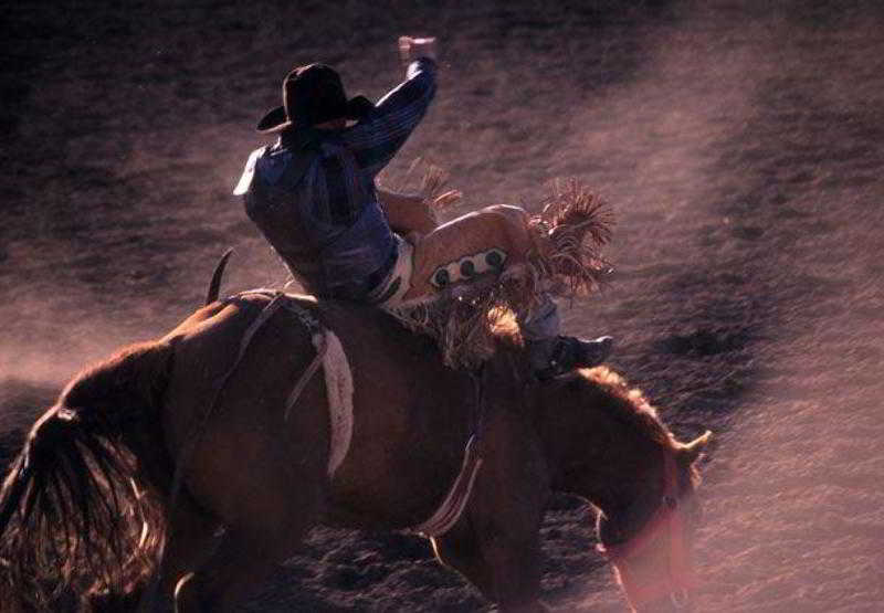 Hotel Courtyard Dallas Mesquite  | Mesquite | Texas | United States 5