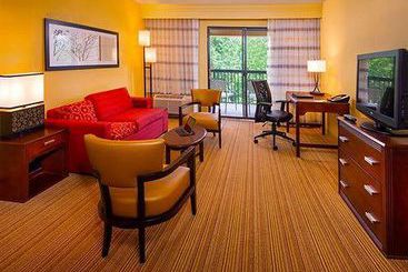 Hotel Courtyard by Marriott North Charleston Airport Coliseum  | North Charleston | South Carolina | United States 5