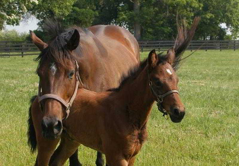 Hotel Courtyard Paducah West  | Paducah | Kentucky | Estados Unidos 4
