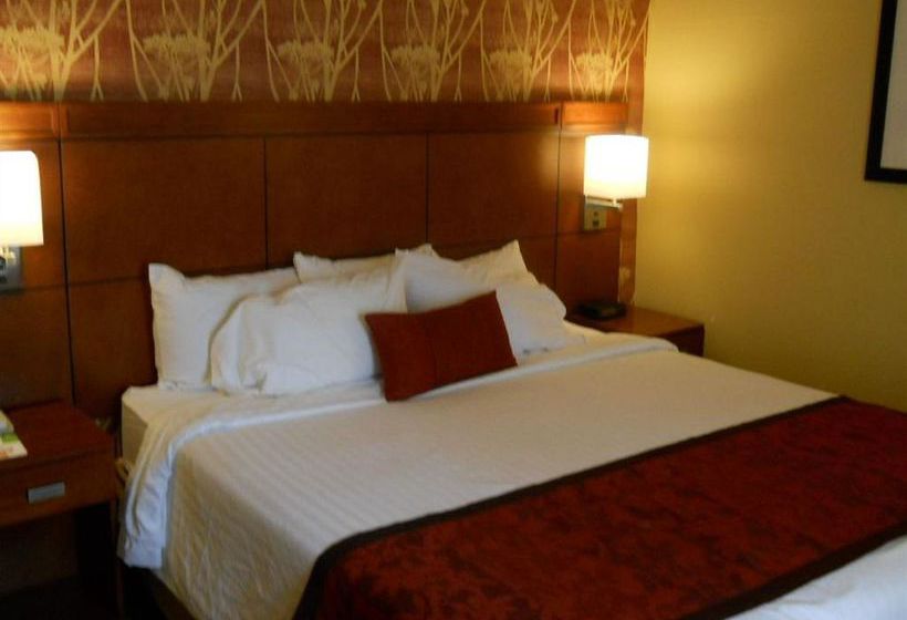Hotel Holiday Inn Express Tifton  | Tifton | Georgia | United States 14