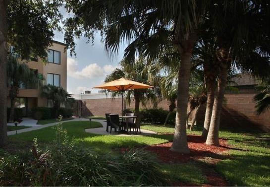 Hotel Courtyard by Marriott Harlingen Harlingen Texas