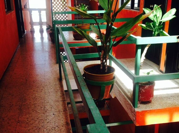 Hotel Jardin  | Cancún | Quintana Roo | México 9