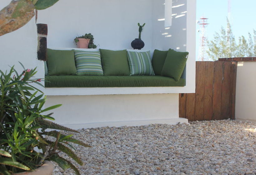 La Armonia  | Playa del Carmen | Quintana Roo | México 14