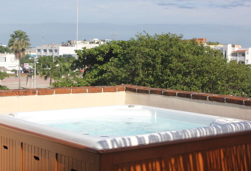 La Armonia  | Playa del Carmen | Quintana Roo | México 15