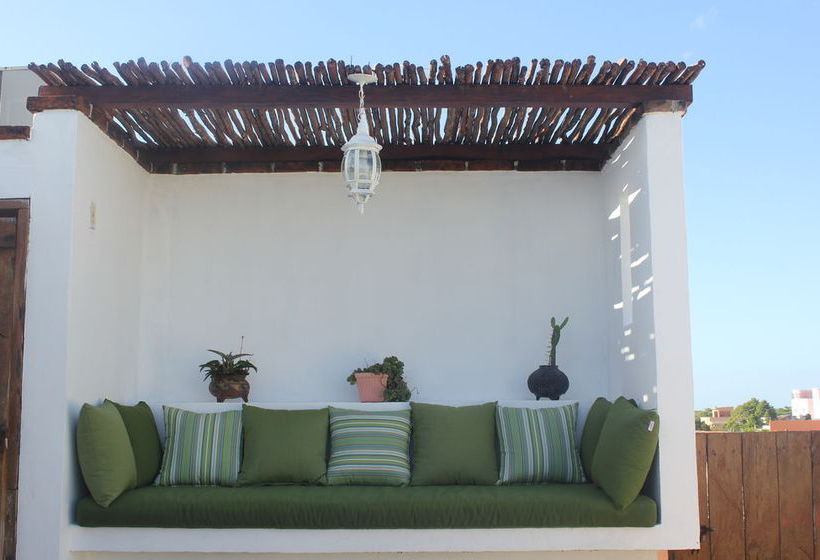 La Armonia  | Playa del Carmen | Quintana Roo | México 16