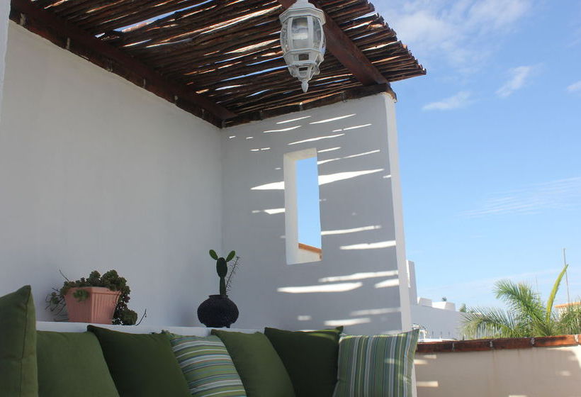 La Armonia  | Playa del Carmen | Quintana Roo | México 18