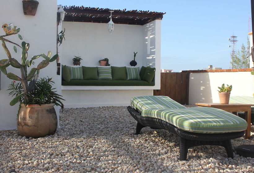 La Armonia  | Playa del Carmen | Quintana Roo | México 19