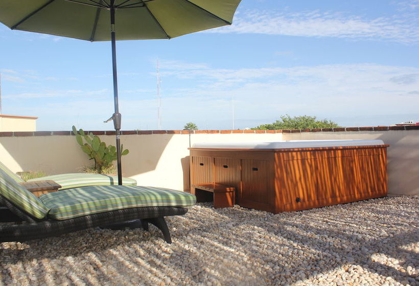 La Armonia  | Playa del Carmen | Quintana Roo | México 20