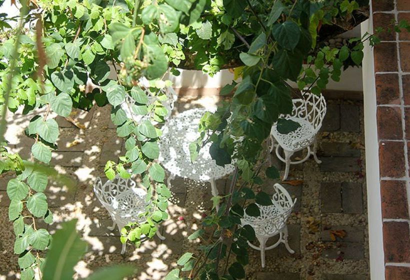 La Armonia  | Playa del Carmen | Quintana Roo | México 4