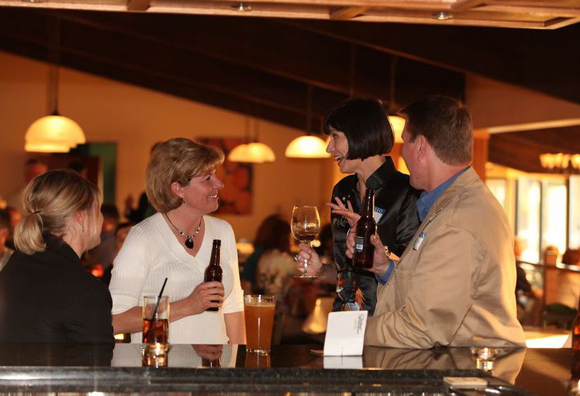 Chestnut Mountain Resort  | Galena | Illinois | United States 3