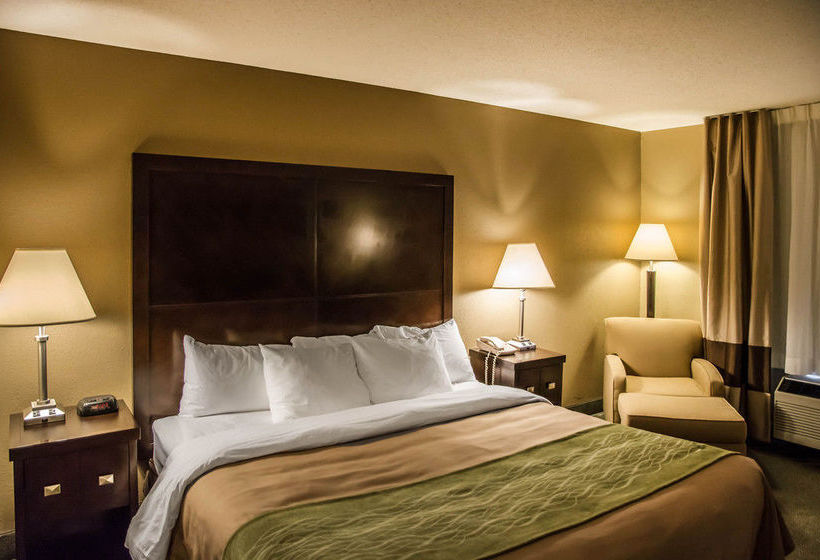 Hotel Comfort Inn Monroe   | Monroe | Ohio | United States 11