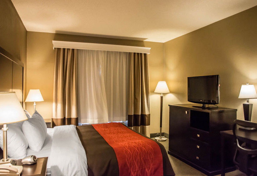 Hotel Comfort Inn Monroe   | Monroe | Ohio | United States 13