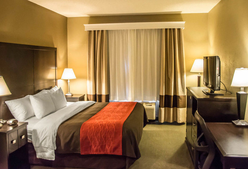 Hotel Comfort Inn Monroe   | Monroe | Ohio | United States 9