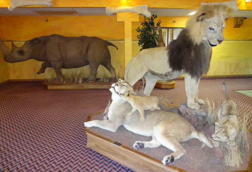 Hotel Kings Inn Cody  | Cody | Wyoming | United States 10